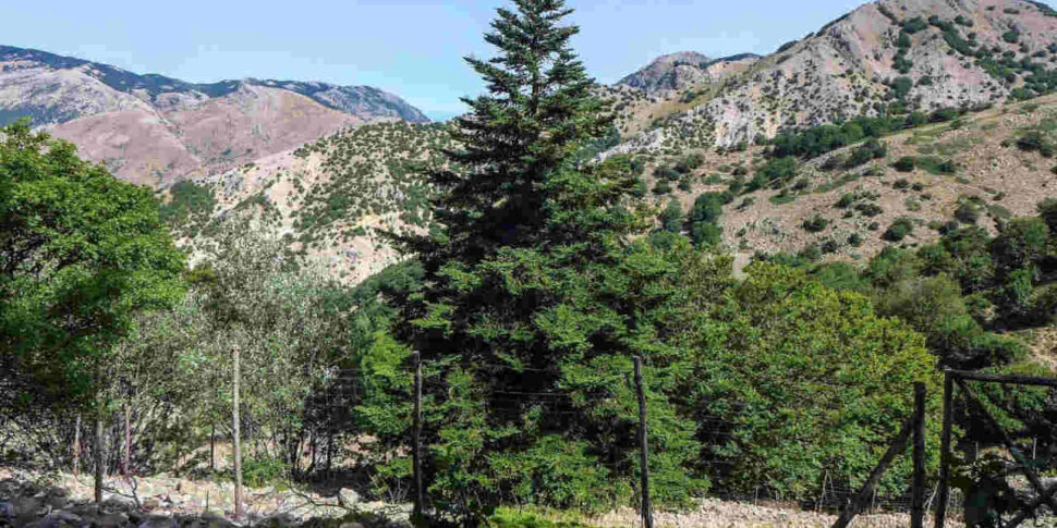 L’Università di Palermo collaborerà con il Parco delle Madonie per il recupero del patrimonio architettonico