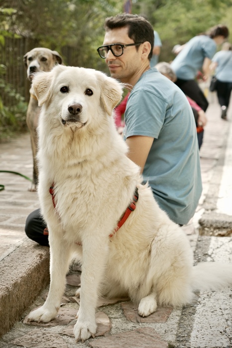 La Russa, è ora di autorizzare gli animali domestici al Senato