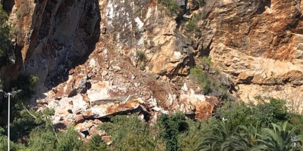 Albero cade a Montepellegrino, nessun ferito