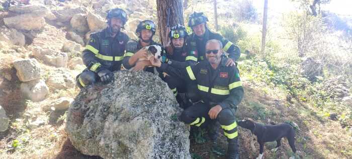 Cane si infila sotto una roccia, salvato dai vigili del fuoco