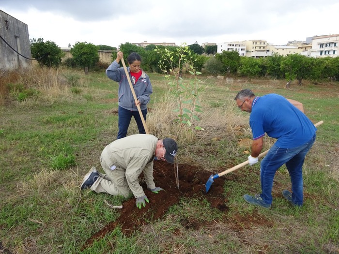 Dagli Usa a Castelvetrano, volontari in bene confiscato