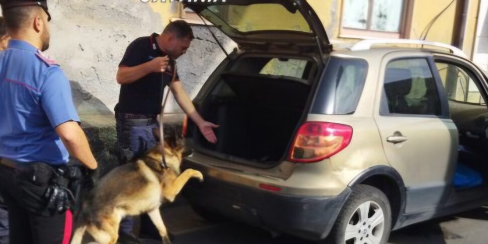 Controlli in un locale a Catania, trovate nel magazzino droga e armi