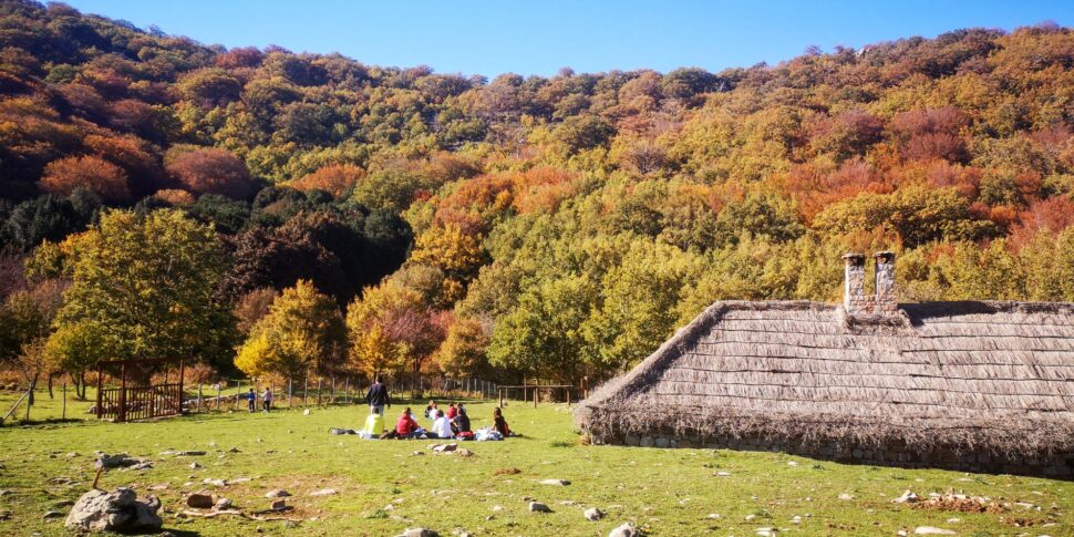 Gita fuori porta a Castelbuono, fra gli agrifogli monumentali di Piano Pomo e il Castello dei Ventimiglia