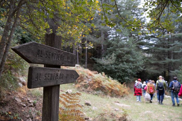 Al via Progetto "Natura Mediterranea" nel Parco delle Madonie