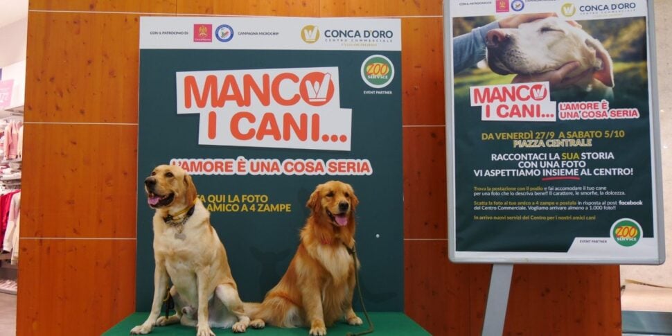 «Manco i cani» con foto social, Dog show e microchip gratis: quattrozampe protagonisti al Conca d’Oro di Palermo