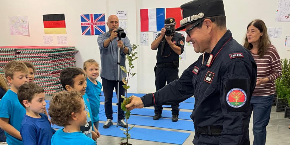 Eolie, mille alberi per il futuro: nelle scuole arriva anche la talea dell'albero Falcone