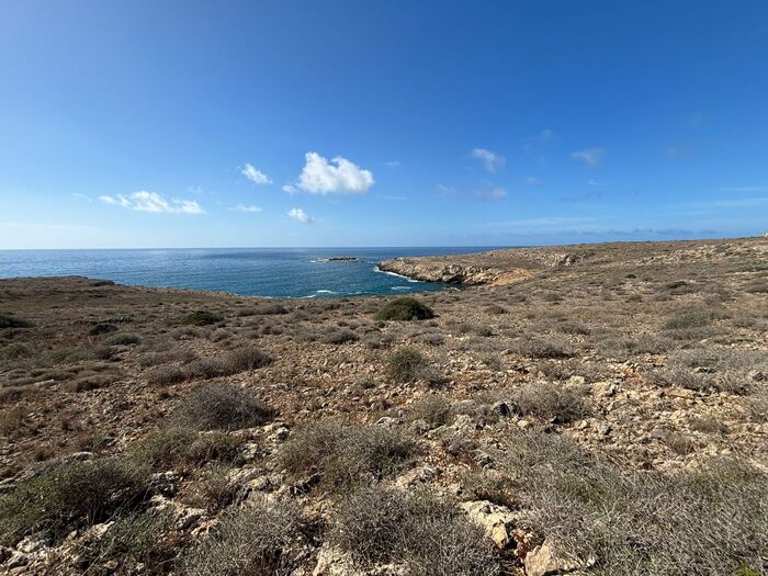 Favignana, dubbi e polemiche su vendita area lungo la costa