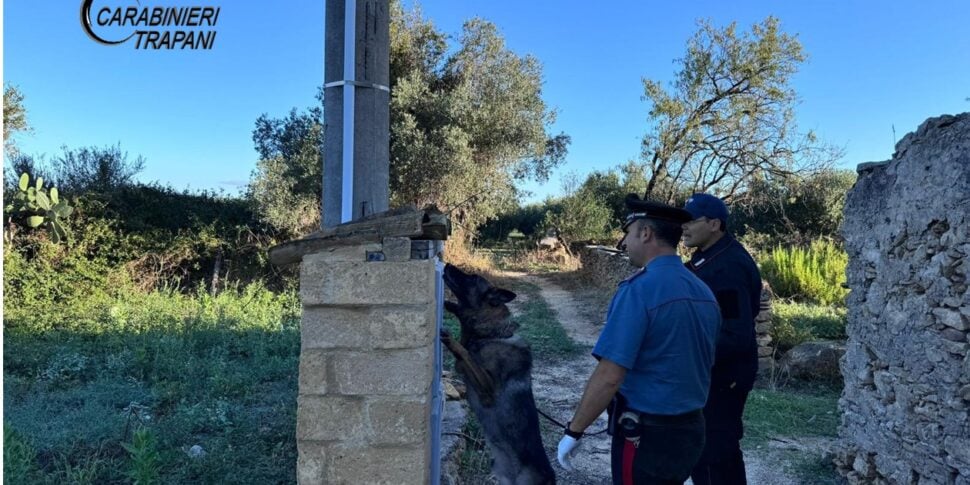 Tre senza-casa sorpresi con la droga, arresti e sequestri nel Castelvetranese