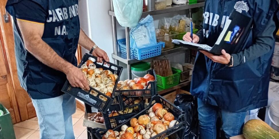 Palermo, i Nas sequestrano 700 litri di vino e 100 chili di generi alimentari