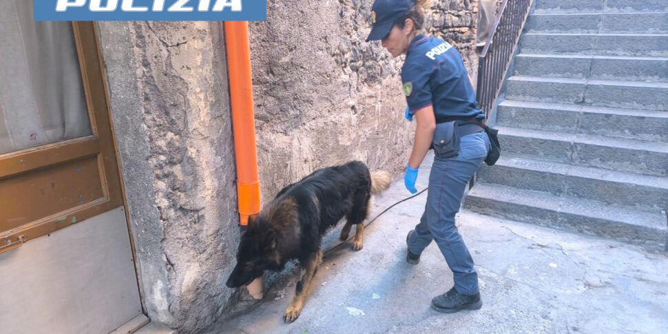 Nasconde la droga nel garage ma viene fiutata dal cane, denunciato spacciatore a Catania