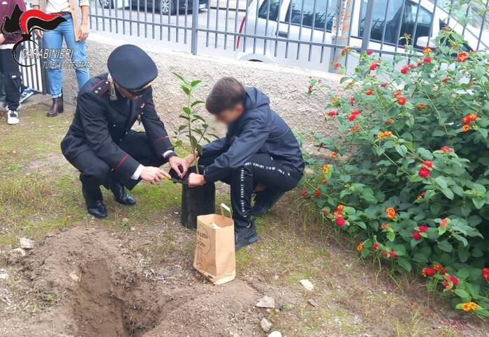 Alberi donati dai carabinieri a due scuole di Palermo