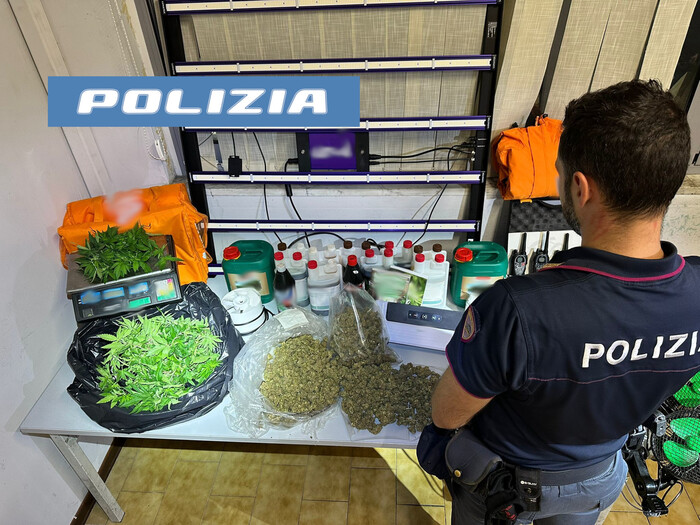 Tre chili di marijuana a casa, arrestati padre e figlio