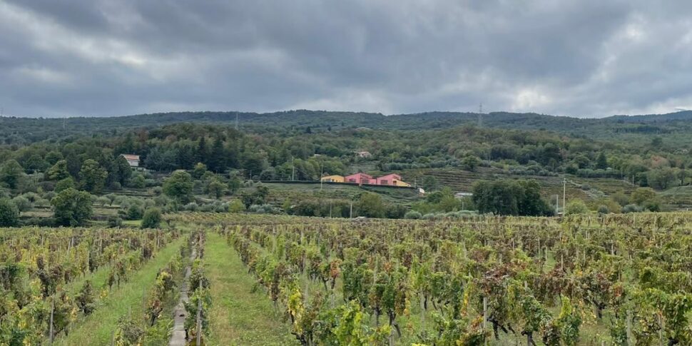 Terzo week-end di Etneb: quando l'esperienza gastronomica sposa quella paesaggistica