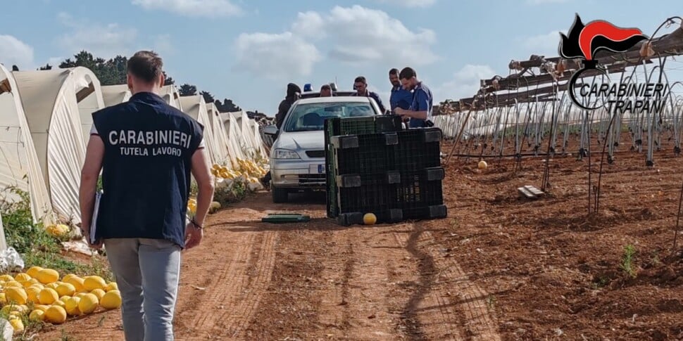 Tre lavoratori in nero e poca sicurezza, multe ai titolari di 4 aziende agricole del Trapanese