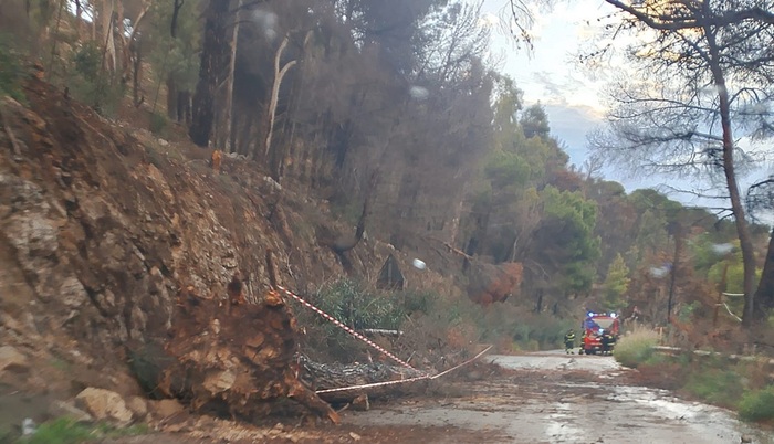 Maltempo, frane e alberi caduti nel Palermitano