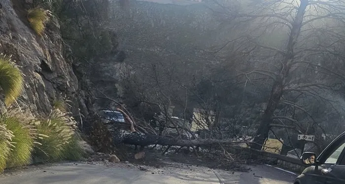 Vento e pioggia,oltre 30 interventi vigili del fuoco Palermo