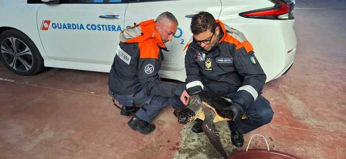 'Caretta caretta' con amo in bocca salvata al largo di Siracusa