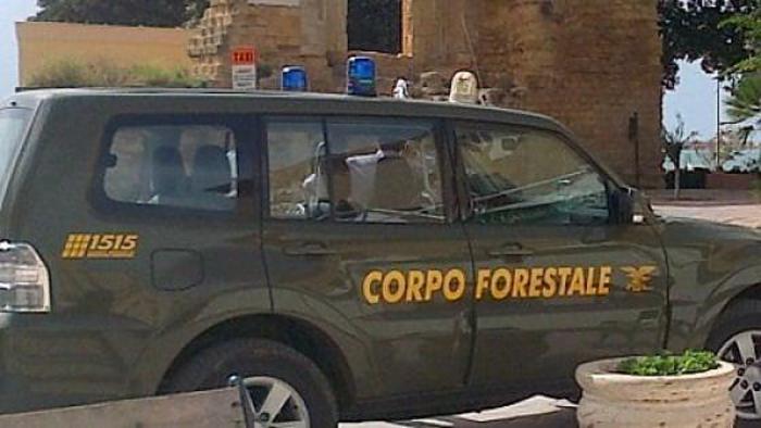 Tar, legittimo concorso dei forestali sospeso in Sicilia