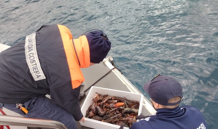 Capitaneria, 58 sequestri di pesce per 133 tonnellate