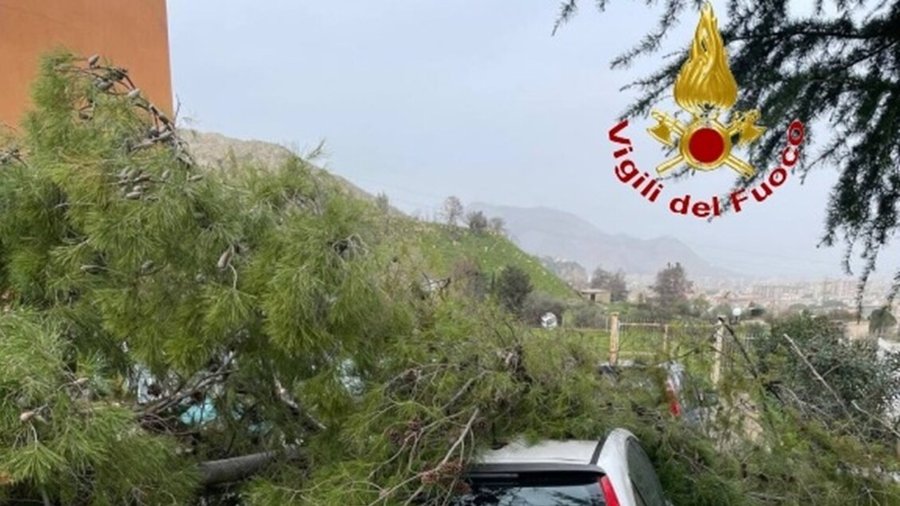 Forte vento su Palermo: albero cade su auto, donna illesa