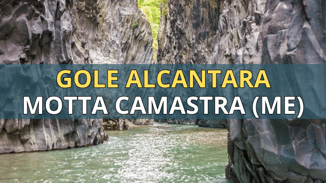 alcantara